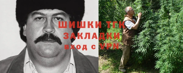 дурь Новодвинск