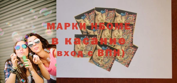 сатива Грязовец