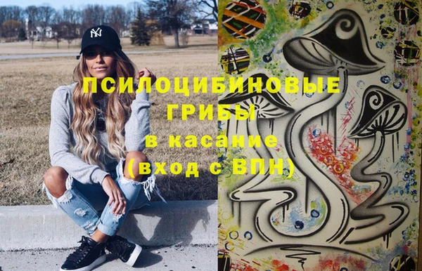 a pvp Новозыбков