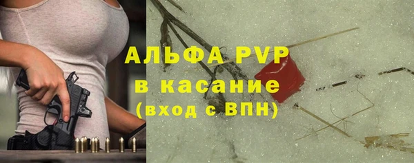 a pvp Новозыбков